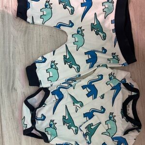 Dinosaur Print Kids Matching Set